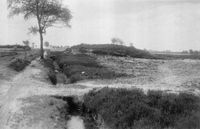 Die älteste Aufnahme des mit Heide bestandenen Grabhügels von 1937 (Blick von Osten).